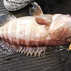 第二龍勢丸 釣果