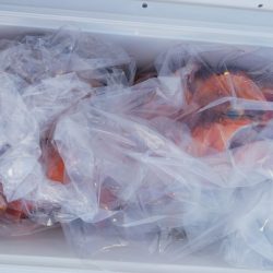 第二龍勢丸 釣果