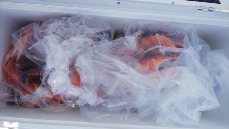 第二龍勢丸 釣果