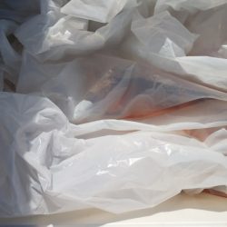 第二龍勢丸 釣果