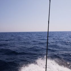 第二龍勢丸 釣果