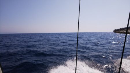 第二龍勢丸 釣果