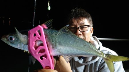 シースナイパー海龍 釣果