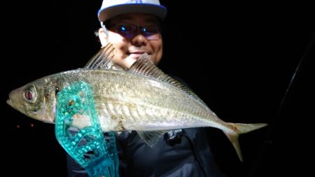 シースナイパー海龍 釣果