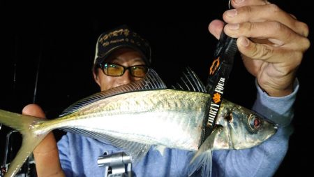 シースナイパー海龍 釣果