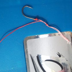 タイラバ遊漁船 ワンピース 釣果