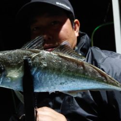 シースナイパー海龍 釣果