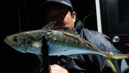 シースナイパー海龍 釣果
