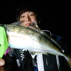 シースナイパー海龍 釣果