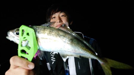 シースナイパー海龍 釣果