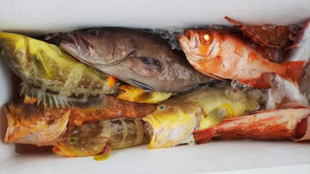 第二龍勢丸 釣果