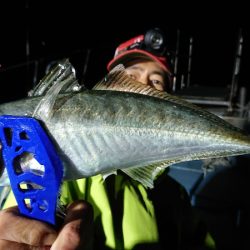 シースナイパー海龍 釣果