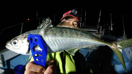 シースナイパー海龍 釣果