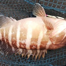 第二龍勢丸 釣果