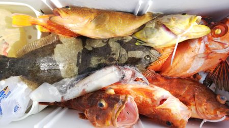 第二龍勢丸 釣果