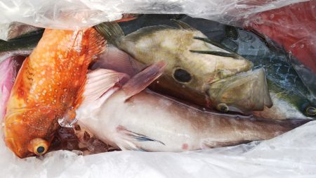 第二龍勢丸 釣果