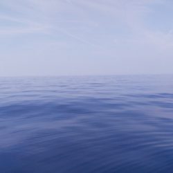 第二龍勢丸 釣果