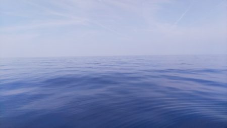 第二龍勢丸 釣果