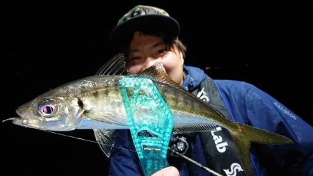 シースナイパー海龍 釣果