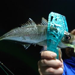 シースナイパー海龍 釣果