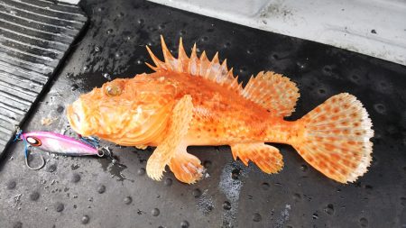 第二龍勢丸 釣果