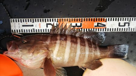 第二龍勢丸 釣果