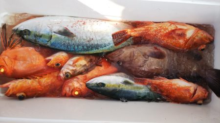 第二龍勢丸 釣果