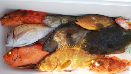 第二龍勢丸 釣果