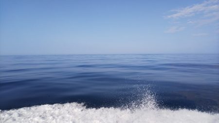 第二龍勢丸 釣果