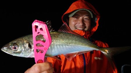 シースナイパー海龍 釣果