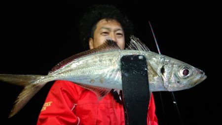 シースナイパー海龍 釣果