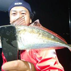 シースナイパー海龍 釣果