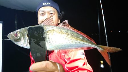 シースナイパー海龍 釣果