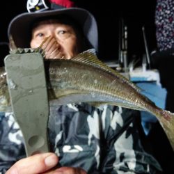 シースナイパー海龍 釣果