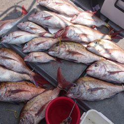 海皇丸 釣果