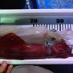 海龍丸（石川） 釣果