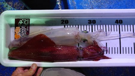 海龍丸（石川） 釣果