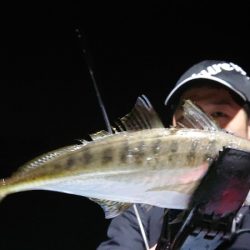 シースナイパー海龍 釣果