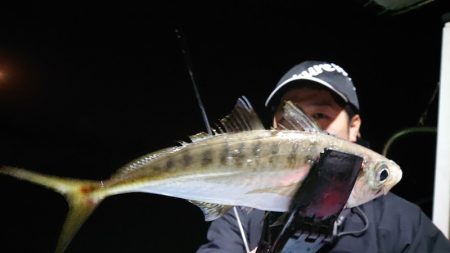 シースナイパー海龍 釣果