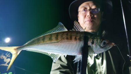 シースナイパー海龍 釣果