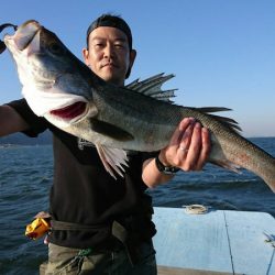 アマテラス 釣果