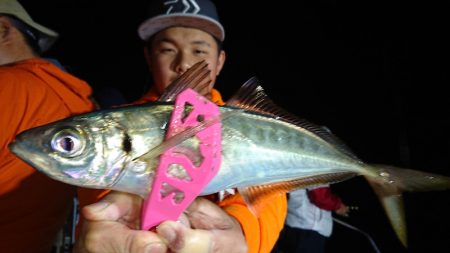 シースナイパー海龍 釣果