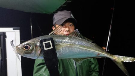 シースナイパー海龍 釣果