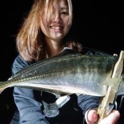 シースナイパー海龍 釣果