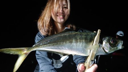 シースナイパー海龍 釣果