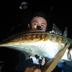 シースナイパー海龍 釣果