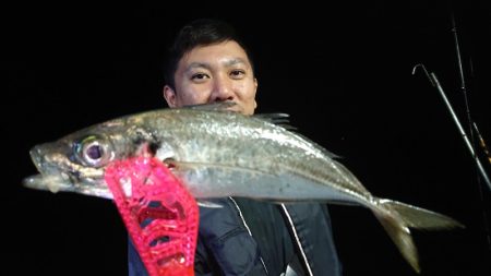 シースナイパー海龍 釣果