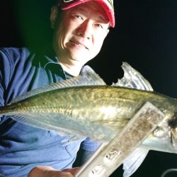 シースナイパー海龍 釣果