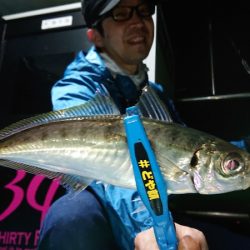 シースナイパー海龍 釣果