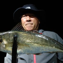 シースナイパー海龍 釣果